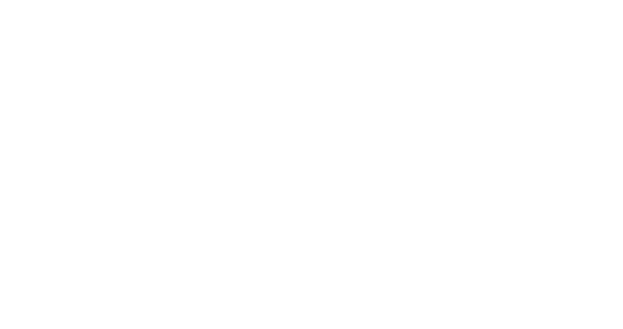 LSB White Logo