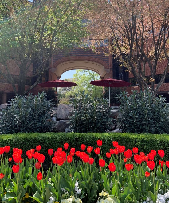 flowers at prometheus group raleigh nc office